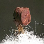 ساخت فلزات به سبکی هوا