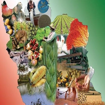 مرکز نوآوری صنایع غذایی تأسیس میشود
