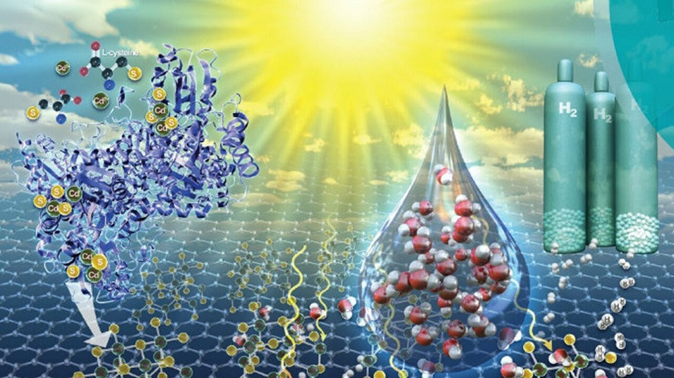 نانو کاتالیستها