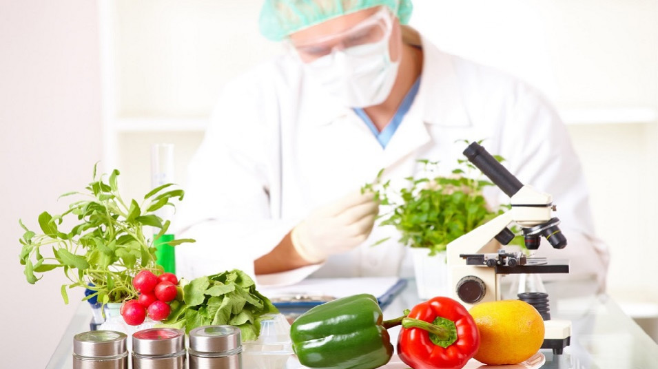 مرکز نوآوری صنایع غذایی تأسیس میشود