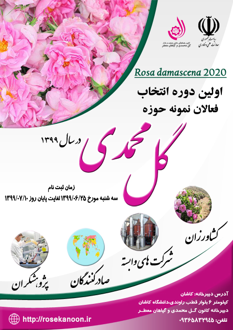 نخستین دوره انتخاب فعالان نمونه حوزه گل محمدی